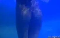 المرة الأولى التي ألعب فيها مع هزازي حتى أقوم بالملل.